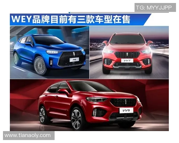 莫比莱发布盈利报告,净利润较去年同期增长20% 莫比莱发布盈利报告,净利润较去年同期增长20%