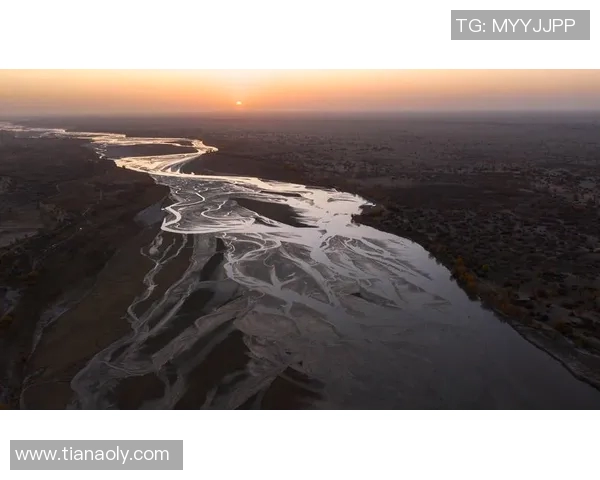 乌栖沙岩与自然奇观的碰撞探索生态之美与人文魅力的交融