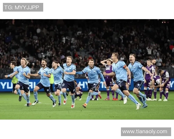 威灵顿凤凰对阵悉尼FC比赛分析与推荐策略分享 威灵顿凤凰对阵悉尼FC比赛分析与推荐策略分享